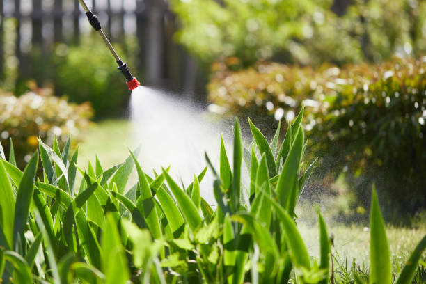 24/7 Emergency Mosquito Control experts in Kenwood, OH